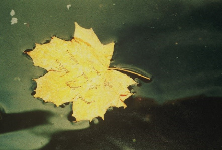 A yellow leaf floats on a river, with handwritten text on it.